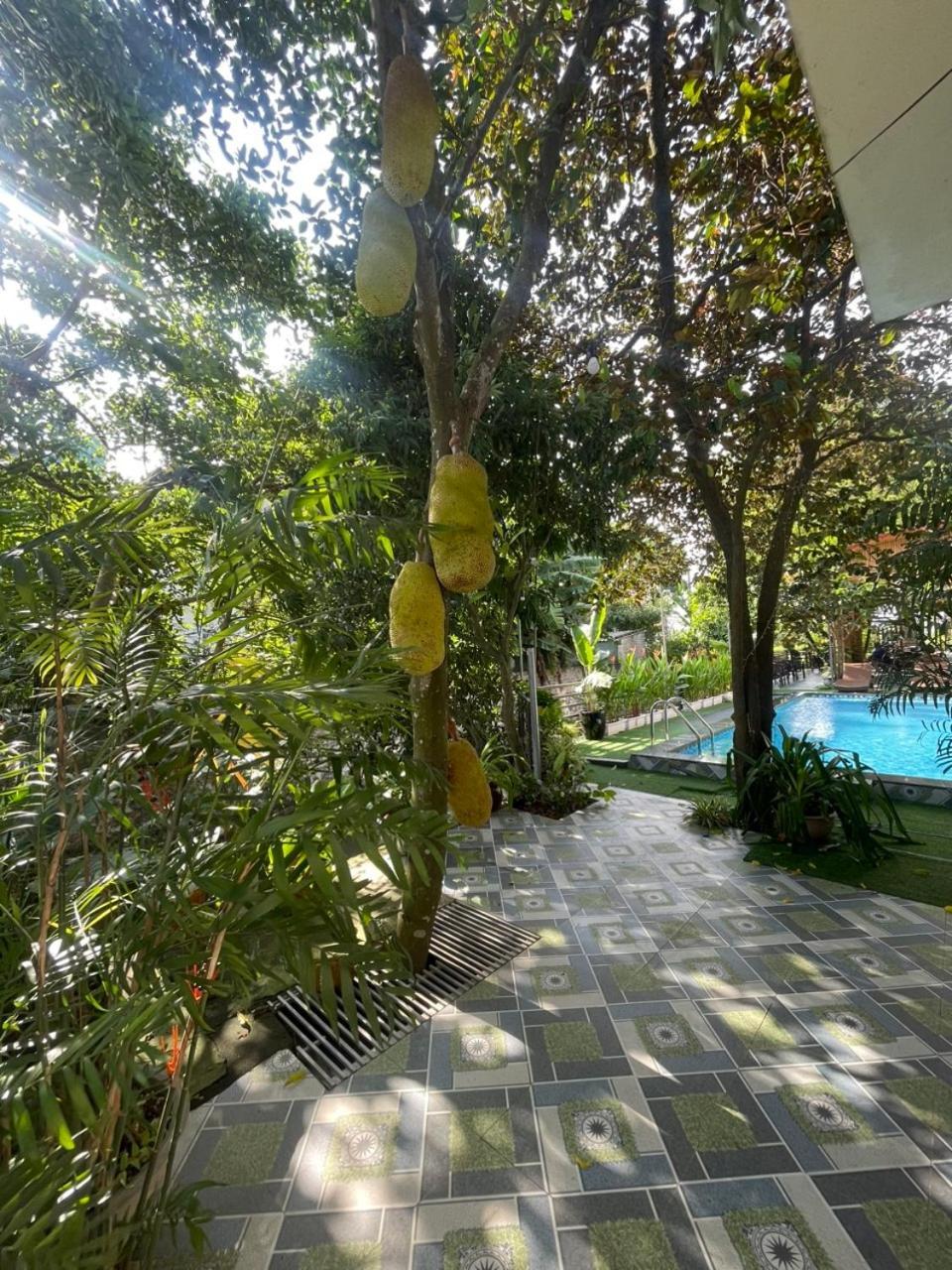Tam Coc Relax Homestay Ninh Binh Exterior foto